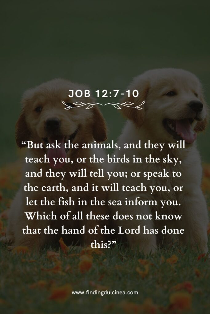 Bible Verses for Animal Lovers and Pet Companions