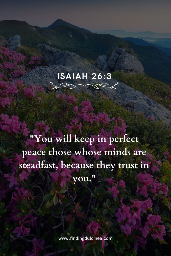23 Bible Verses for Cool Summer Nights to Lift You Up 2 Bible Verses for Cool Summer Nights