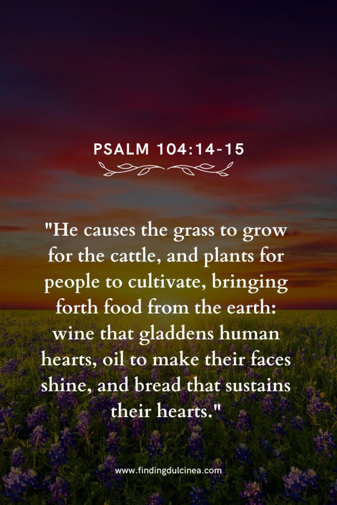 Bible Verses for a Wine & Cheese Type of Evening