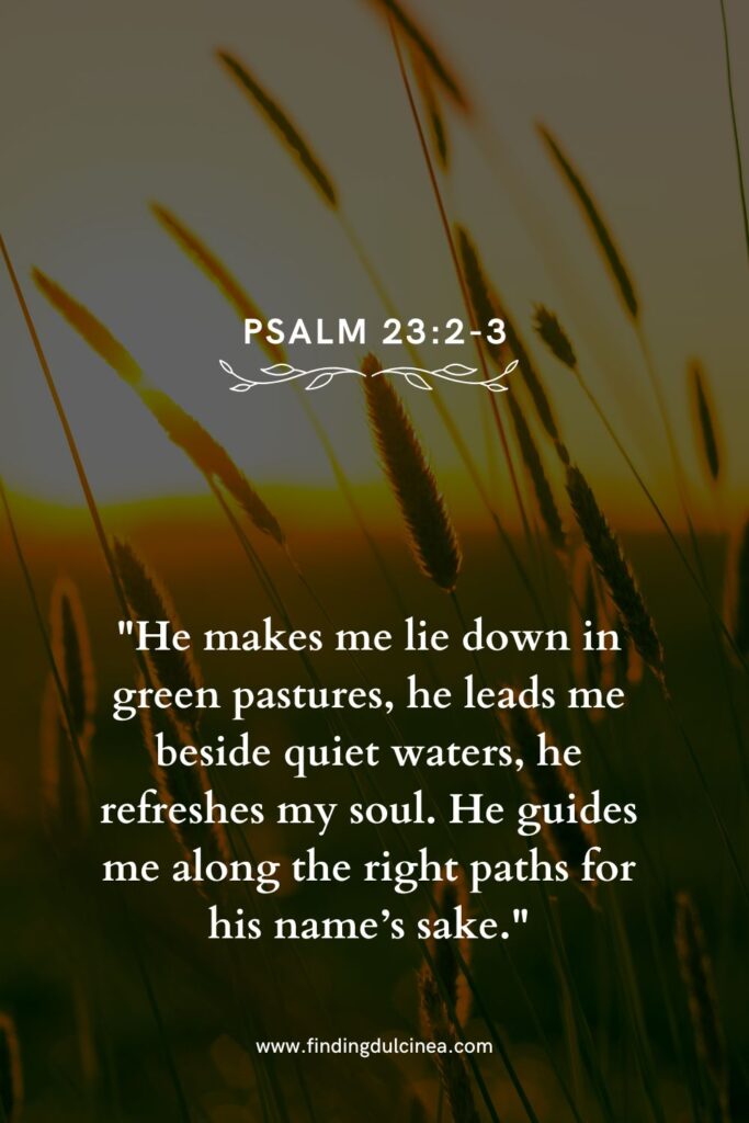 Bible Verses to Get Through the Summer Heat