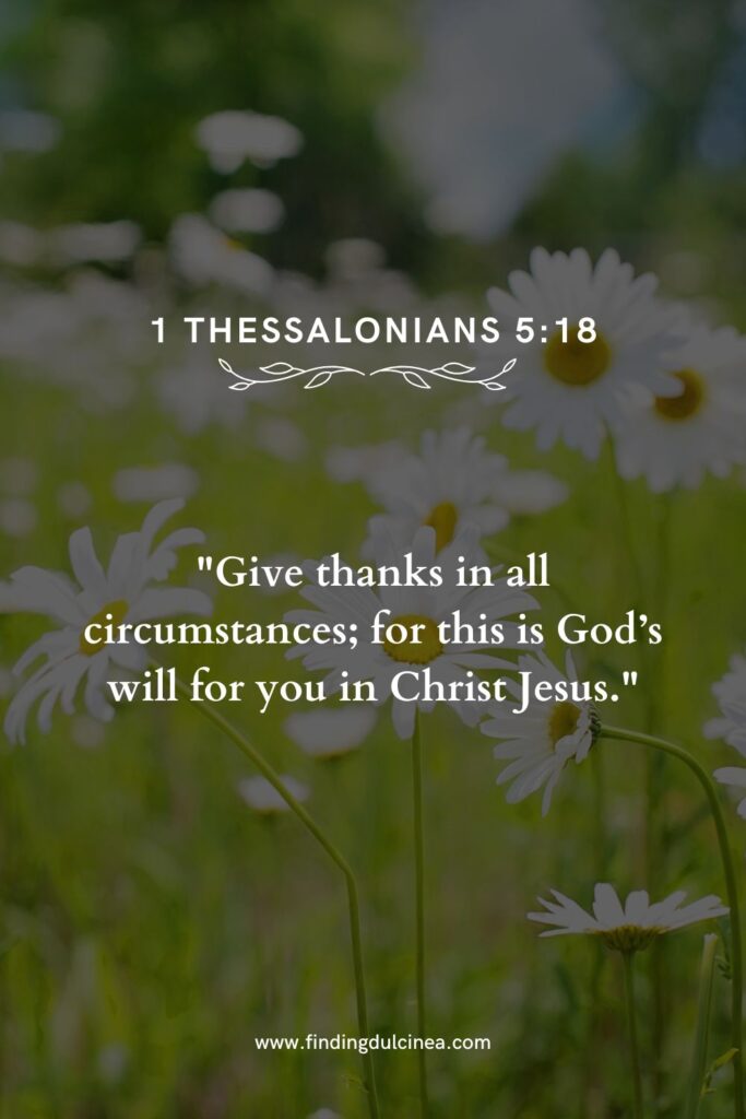 21 Grateful Bible Verses to Read Around the BBQ Table Today 1 Grateful Bible Verses to Read Around the BBQ Table