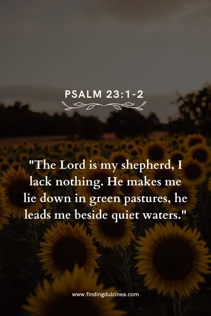 Beautiful Verses for National Sunflower Day