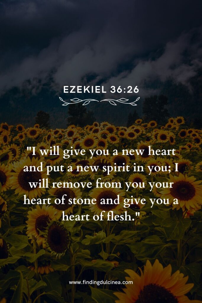 Beautiful Verses for National Sunflower Day