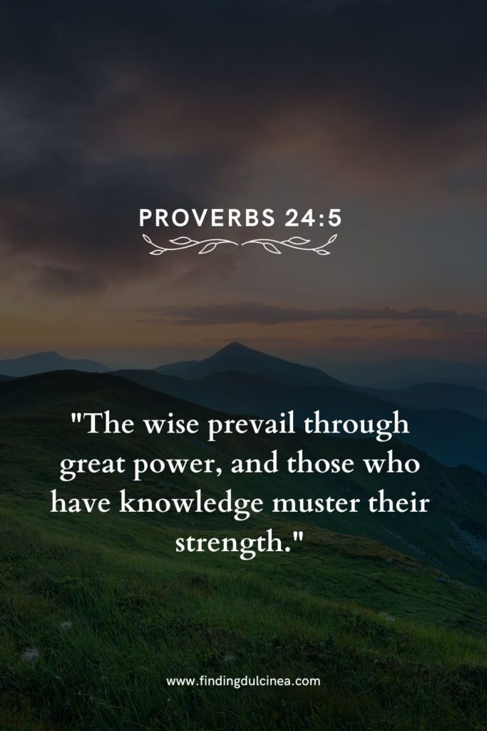 proverbs 24