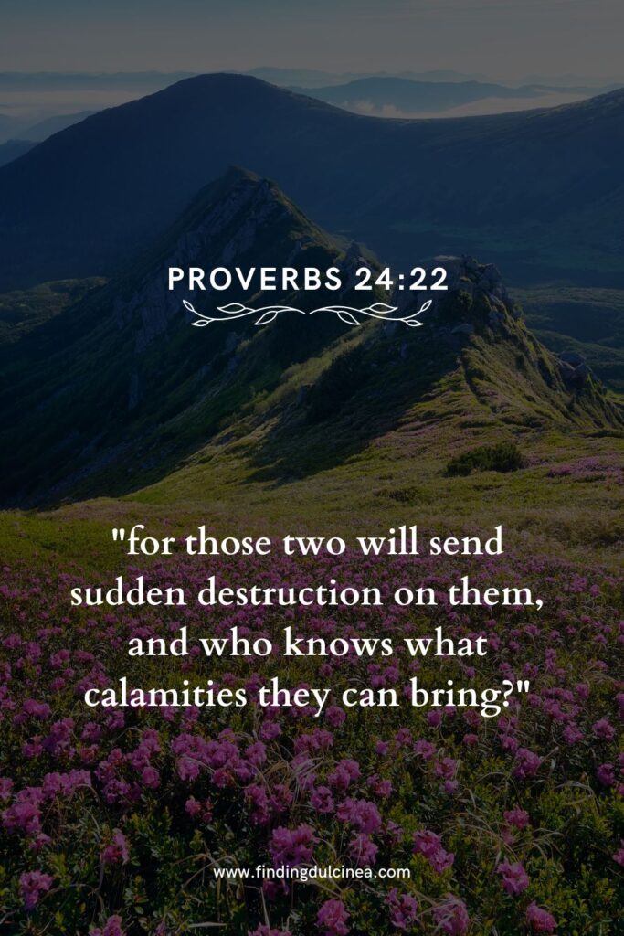 proverbs 24