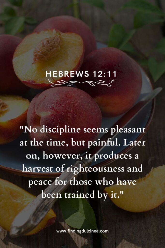 Elegant Verses for National Peach Day
