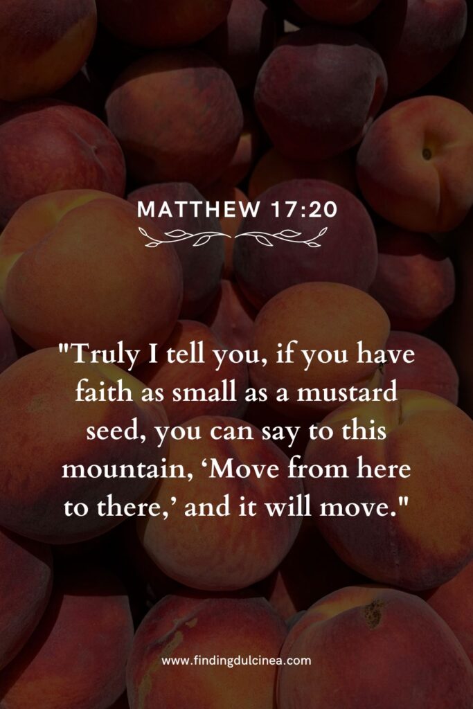 Elegant Verses for National Peach Day