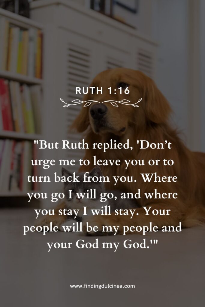 15+ Loyalty Verses for National Dog Day to Melt Hearts 1 Loyalty Verses for National Dog Day