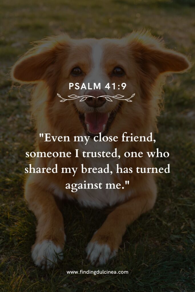 15+ Loyalty Verses for National Dog Day to Melt Hearts 3 Loyalty Verses for National Dog Day