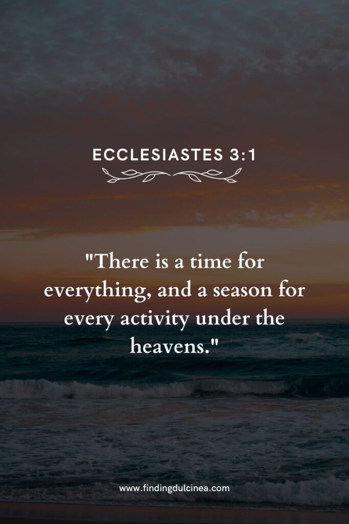 Pretty Verses for National Beach Day