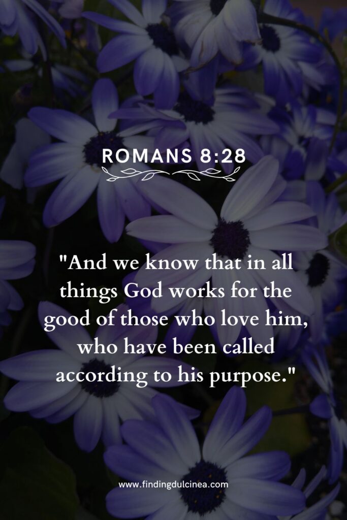 18 Best Verses in the Bible to Lift Your Daily Faith 3 best verses in the bible