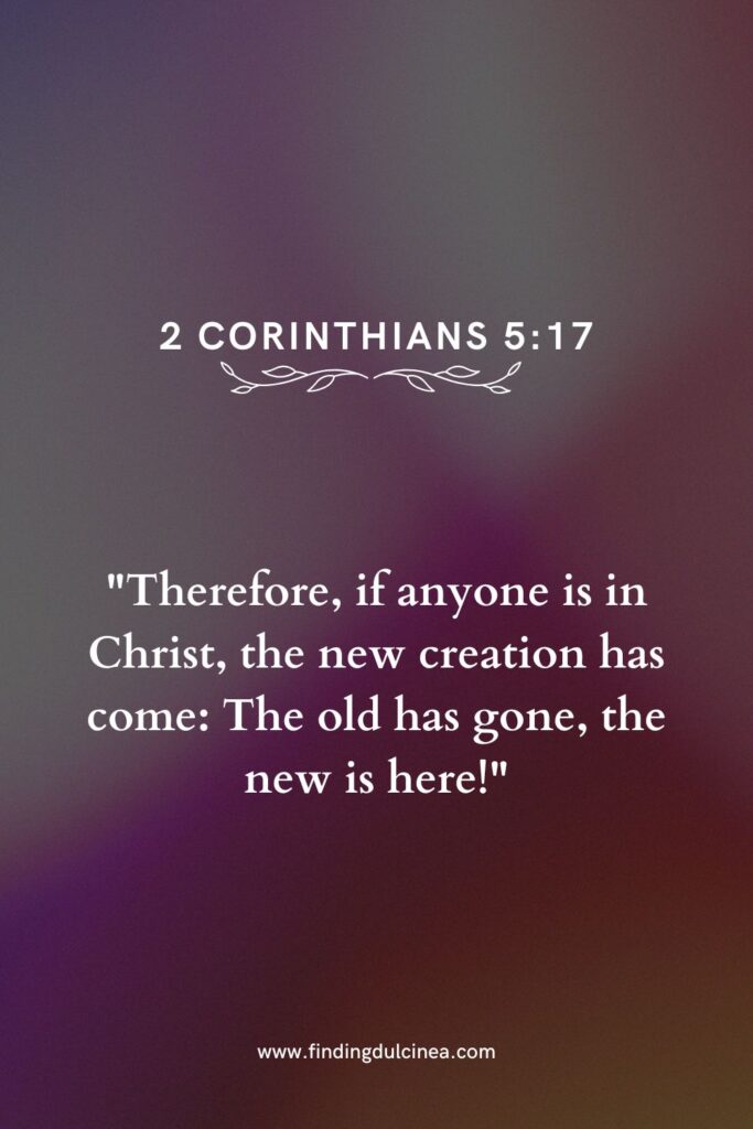 bible bios Instagram