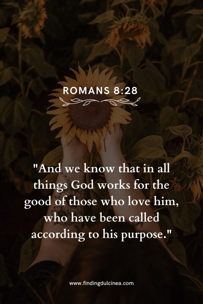 15 Bible Verse About Change to Strengthen Your Faith Today 2 bible verse about change