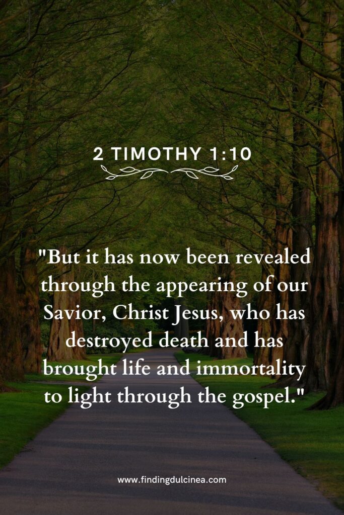 bible verse about freedom
