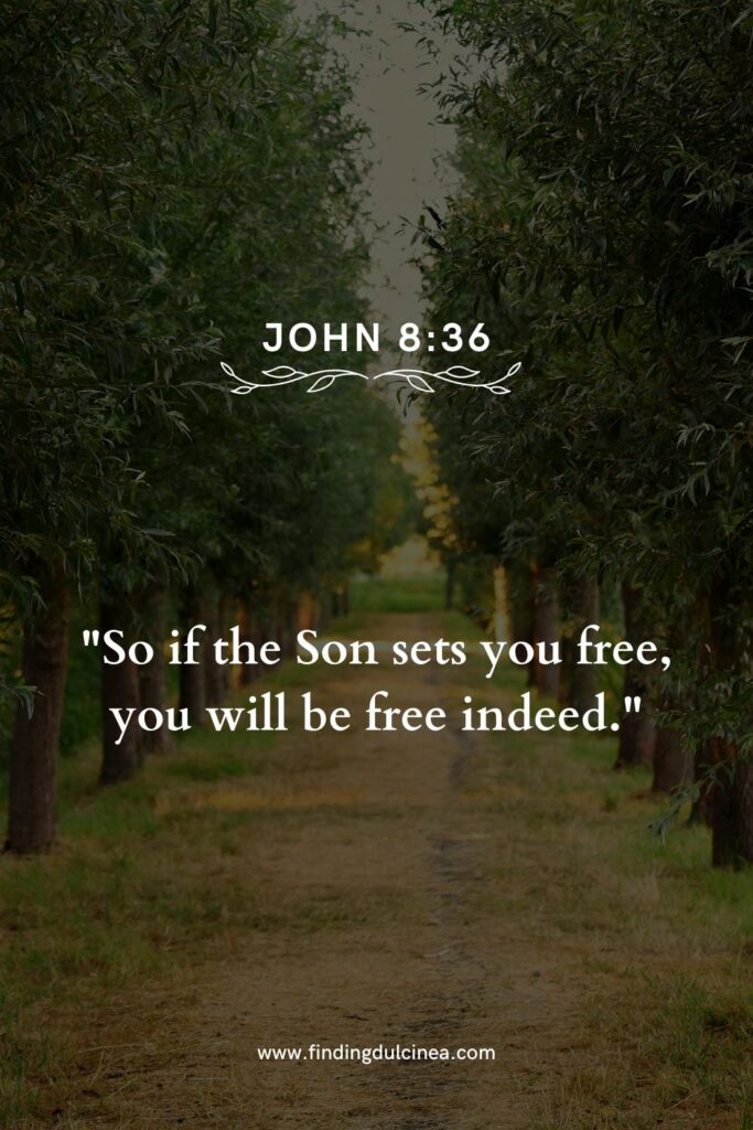 bible verse about freedom