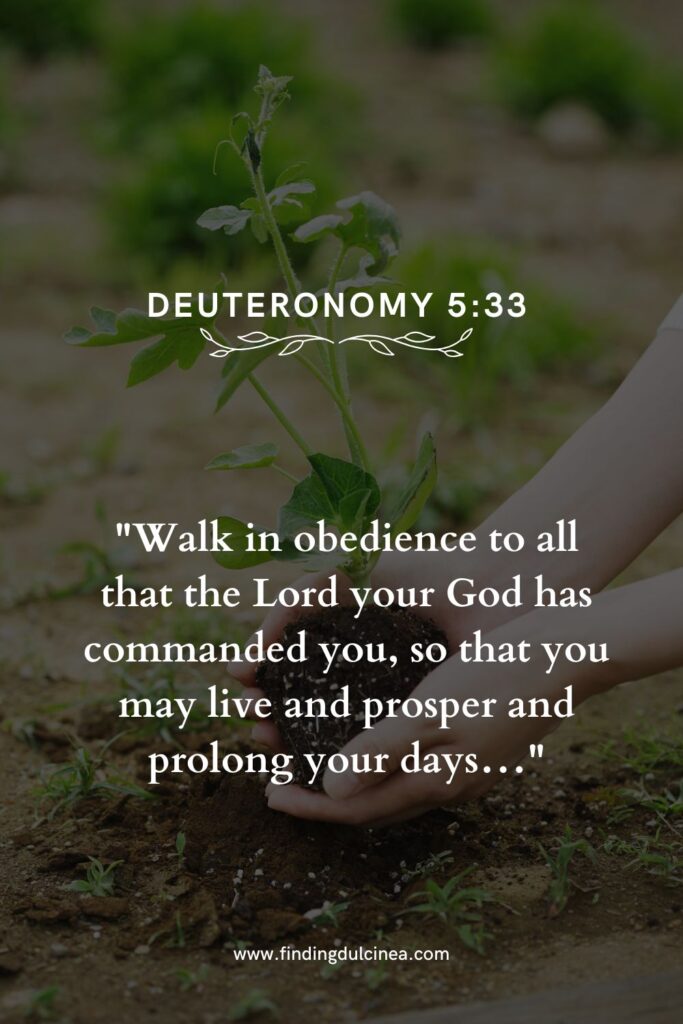 17 Bible Verse About Growth That Will Inspire Your Faith 4 bible verse about growth