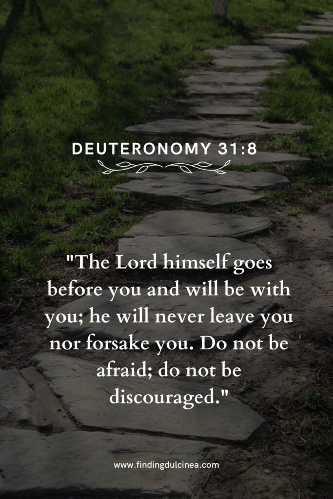bible verse about your path