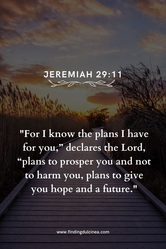 bible verse about your path