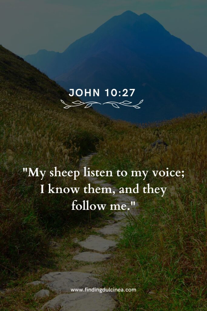 bible verse about your path