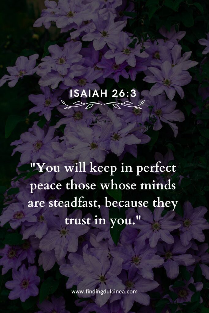 bible verse for him handsome