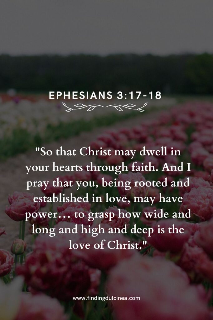 bible verse for him handsome