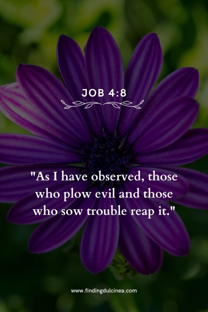 16 Bible Verse for Karma You Need to Reflect On Now 3 bible verse for karma