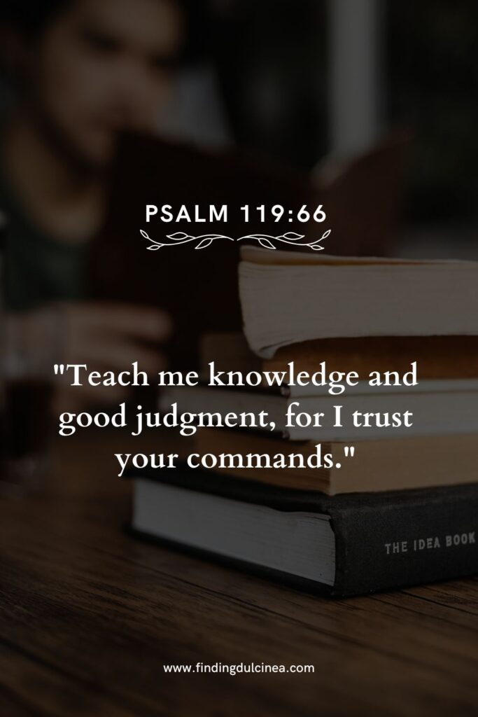 18 Bible Verse for Knowledge to Guide Your Daily Life 2 bible verse for knowledge