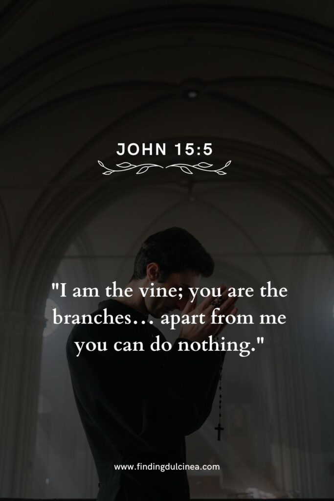 15 Bible Verse for New Believers Every Beginner Needs 3 bible verse for new believers