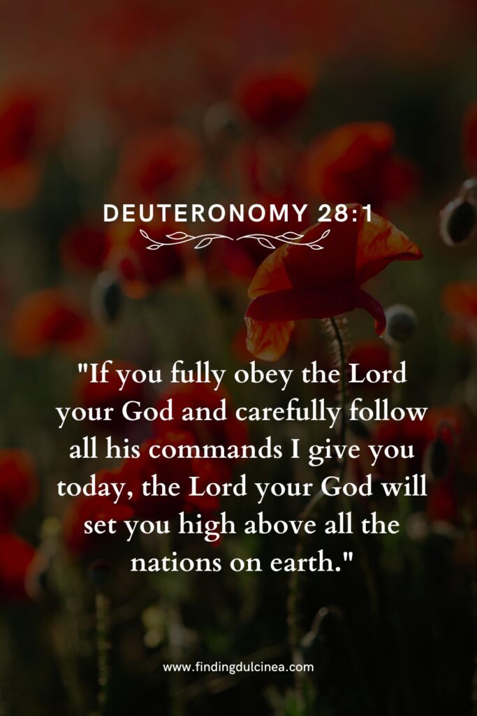 17 Bible Verse for Obedience You Need to Reflect On 1 bible verse for obedience