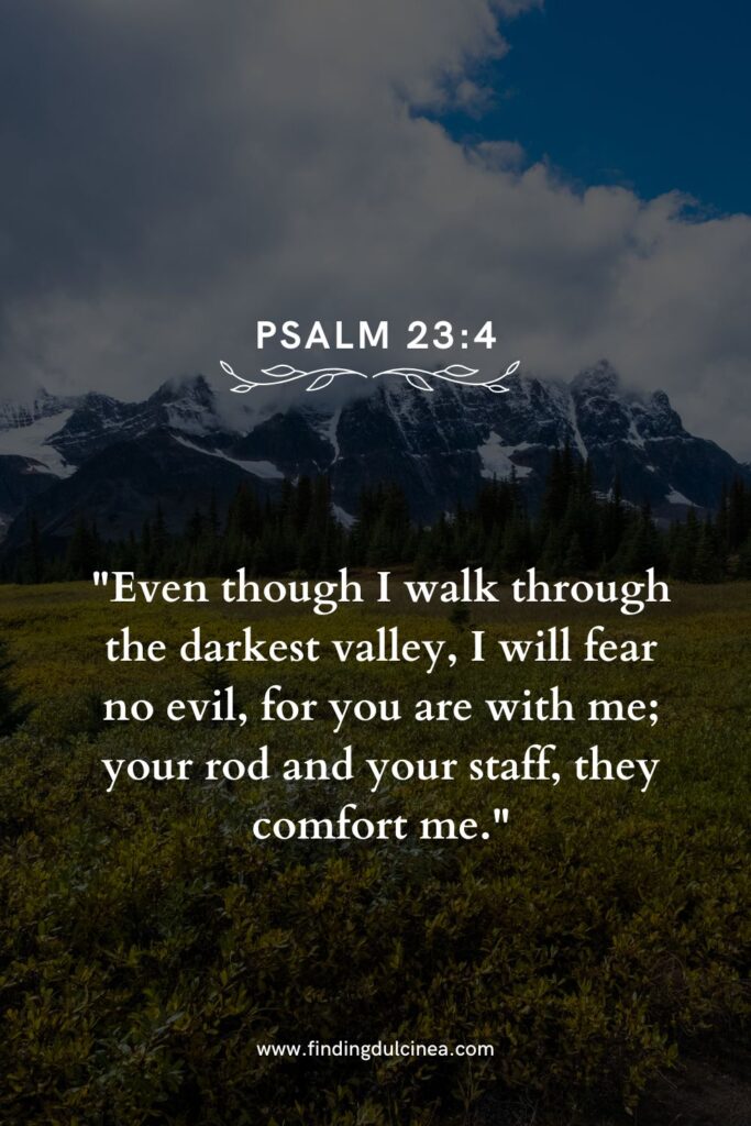 15 Bible Verse for Old Age to Uplift Your Spirit Daily 3 bible verse for old age