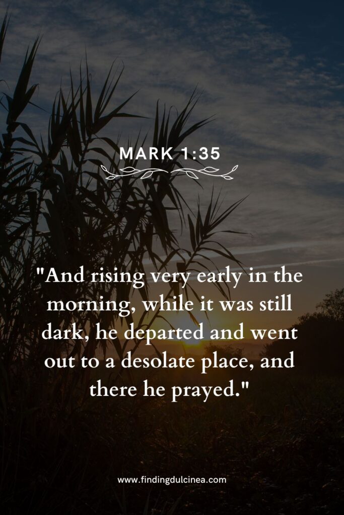 21 Bible Verses About a New Day to Lift Your Spirit 3 bible verses about a new day