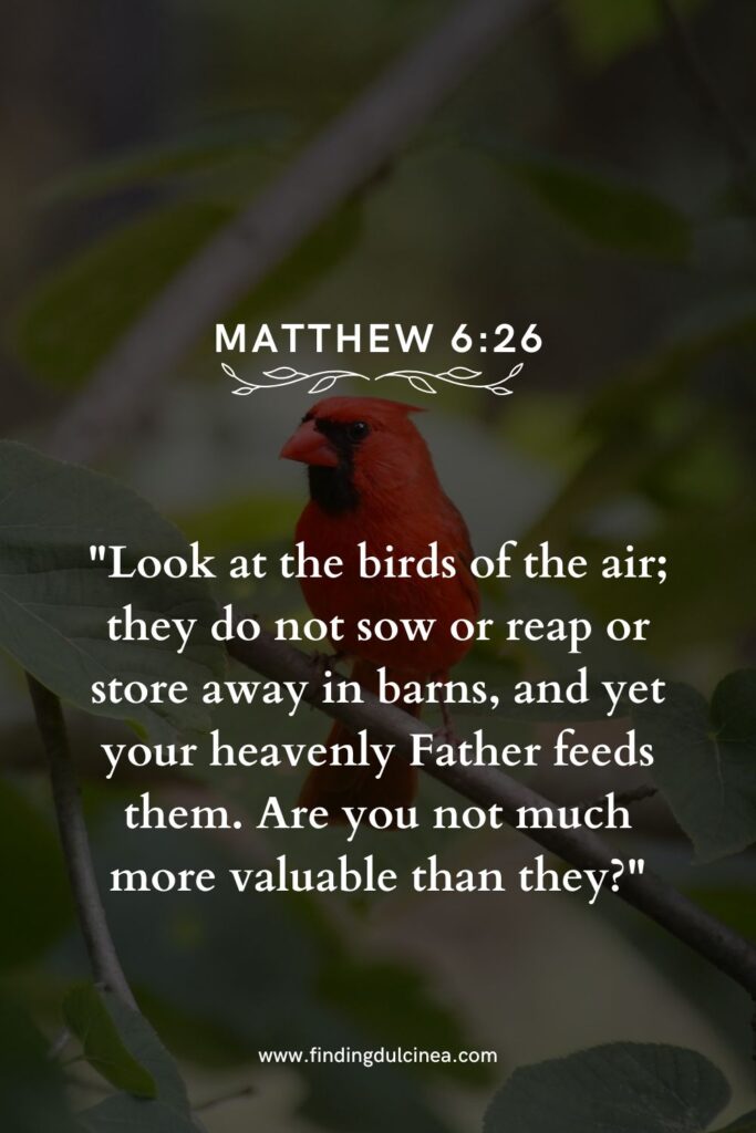 15 Bible Verses About Animals You Should Read Today 1 bible verses about animals