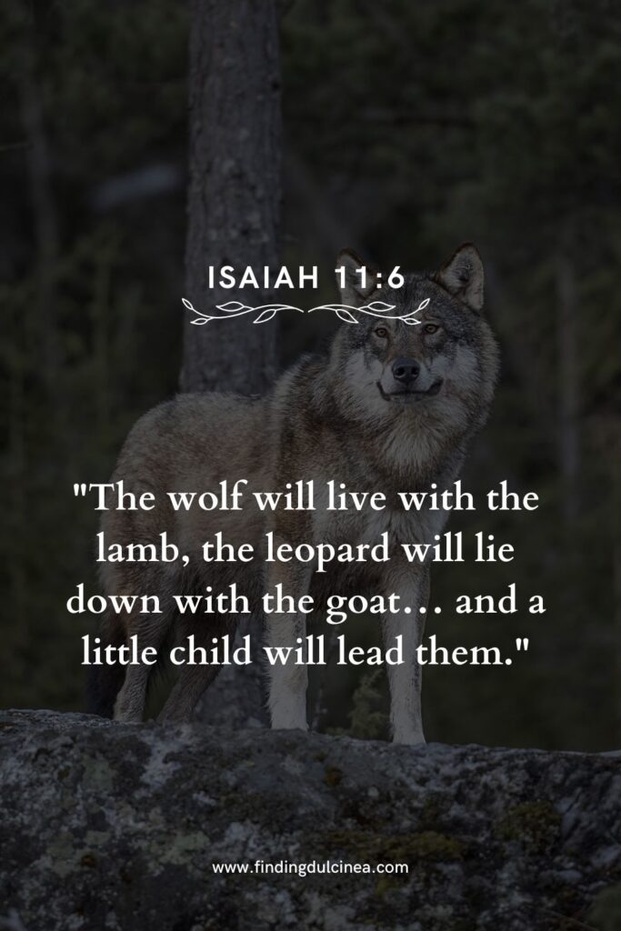 15 Bible Verses About Animals You Should Read Today 2 bible verses about animals