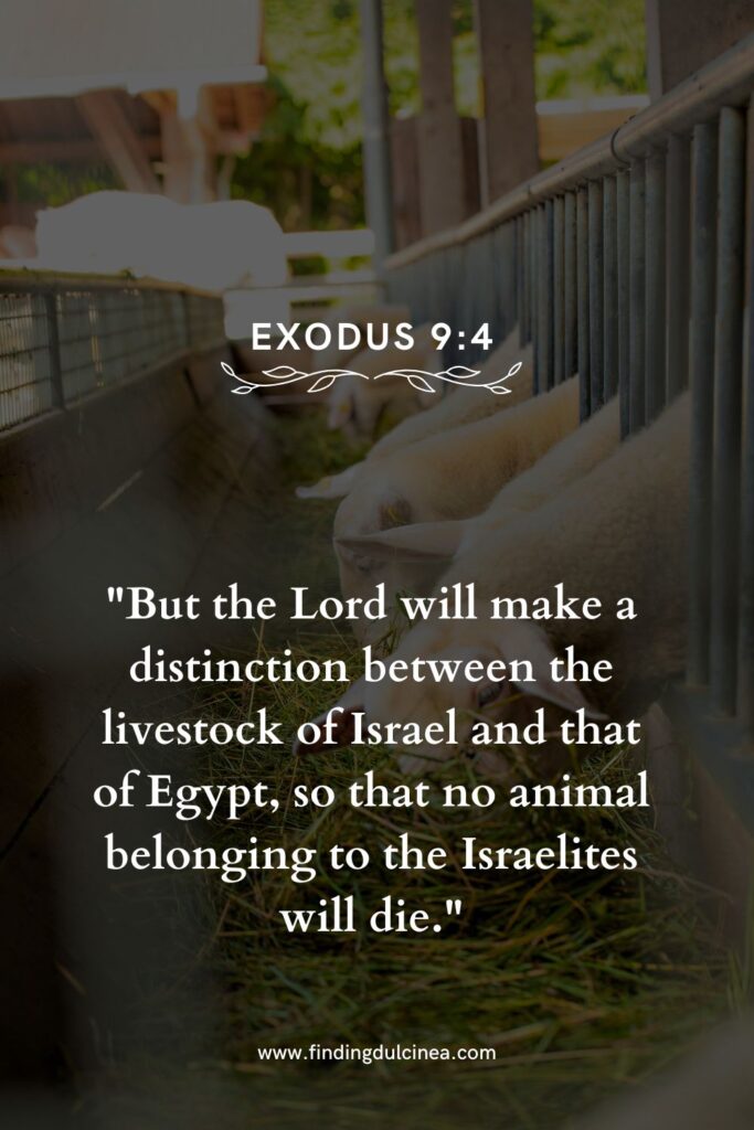 15 Bible Verses About Animals You Should Read Today 3 bible verses about animals