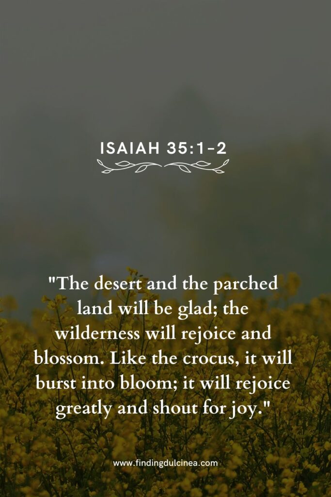 15 Bible Verses About Flowers That Will Uplift Your Soul 2 bible verses about flowers