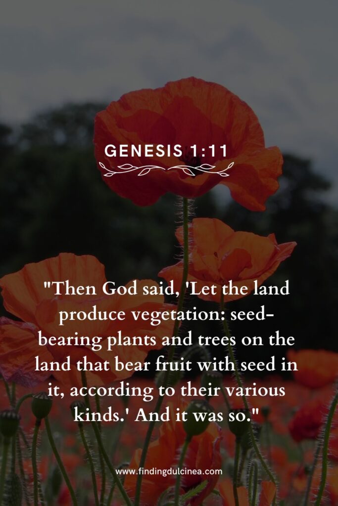 15 Bible Verses About Flowers That Will Uplift Your Soul 4 bible verses about flowers