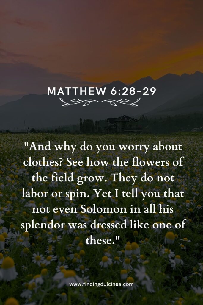 15 Bible Verses About Flowers That Will Uplift Your Soul 1 bible verses about flowers