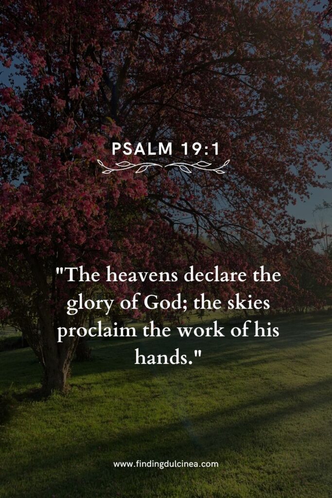 17 Bible Verses About Nature That Inspire Deep Reflection 1 bible verses about nature