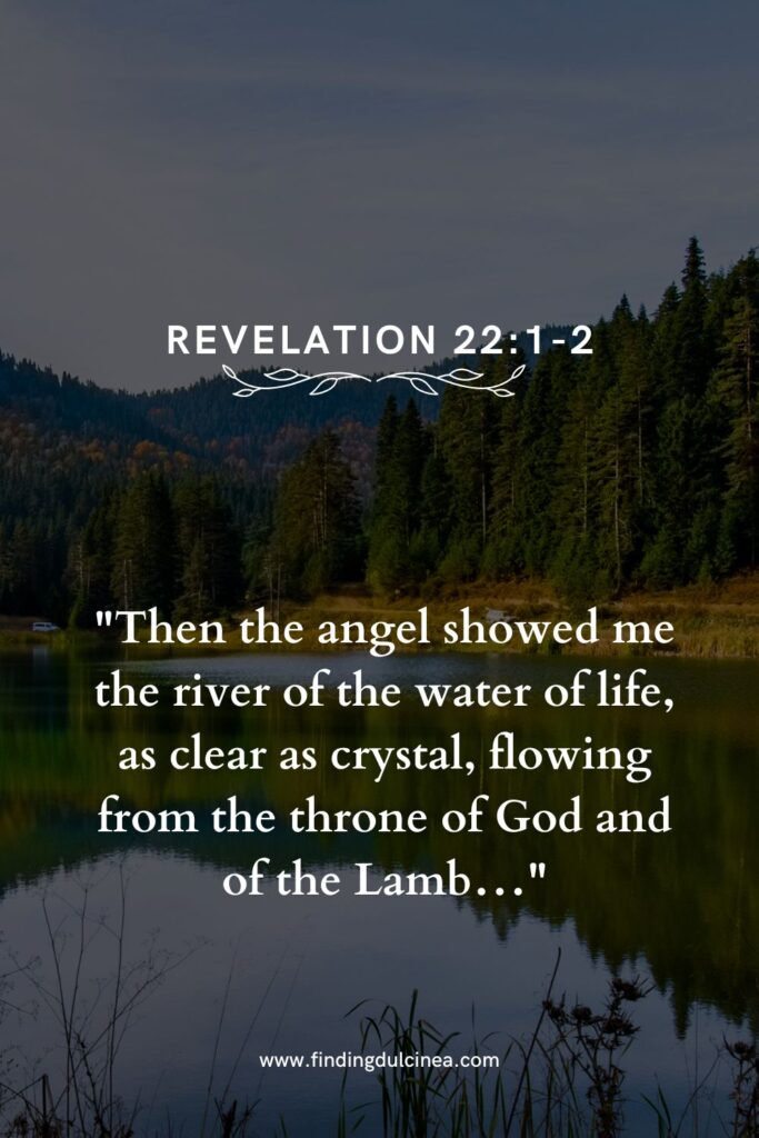 17 Bible Verses About Nature That Inspire Deep Reflection 3 bible verses about nature