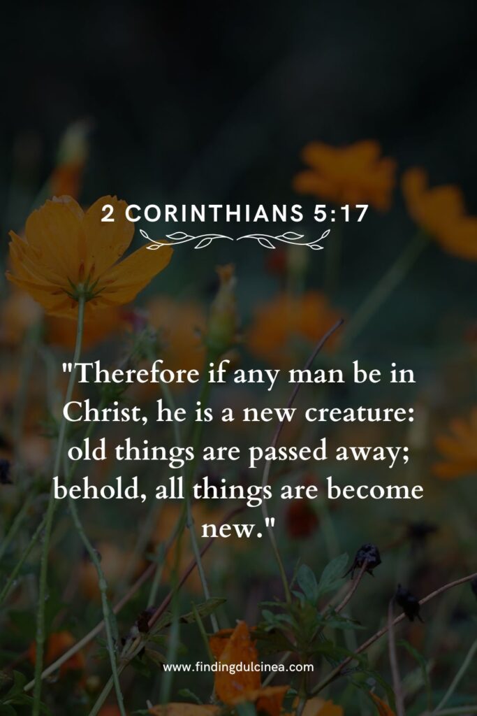 15 King James Bible Verses to Uplift Your Spirit Daily 2 king James bible verses