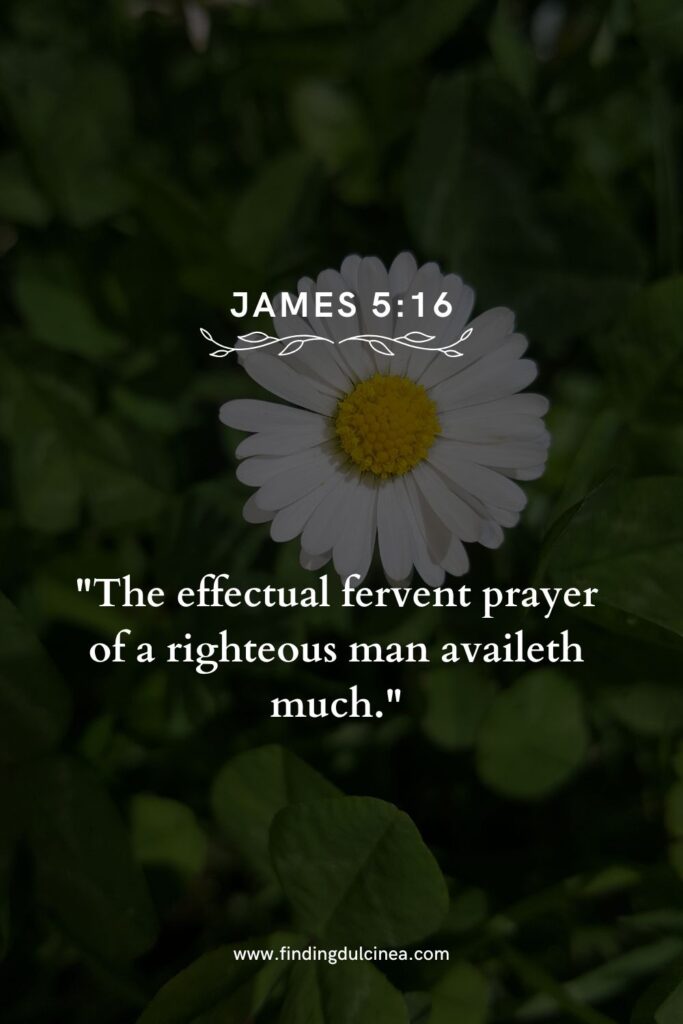 15 King James Bible Verses to Uplift Your Spirit Daily 3 king James bible verses