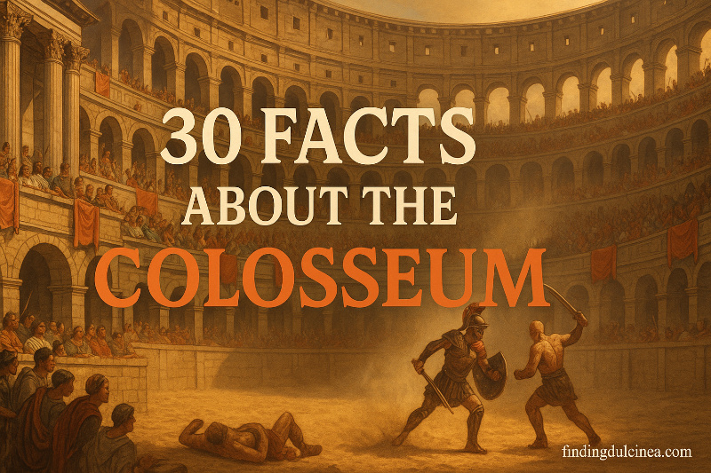 Facts About the Colosseum