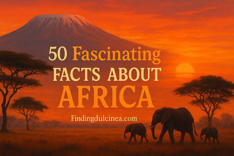 Fascinating Facts About Africa
