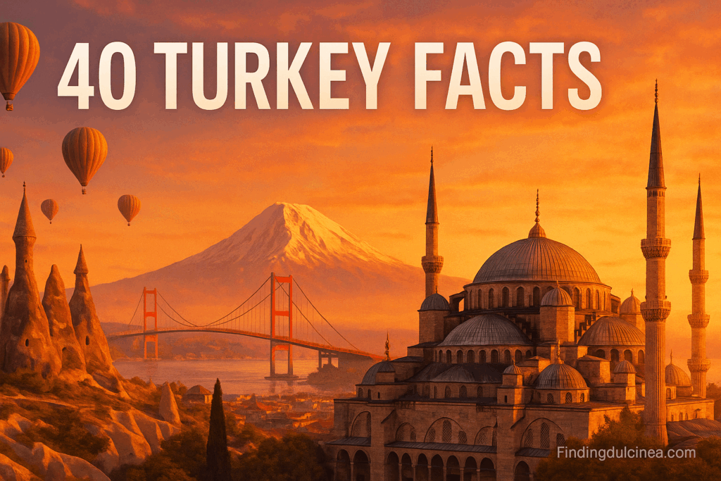 Turkey Facts