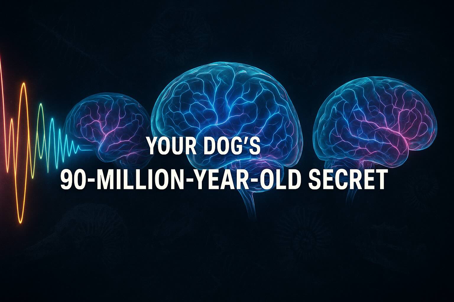 Dogs Don't Actually Prefer Your Voice And This 90-Million-Year-Old Brain Mechanism Explains Why 1 Dogs Don't Actually Prefer Your Voice