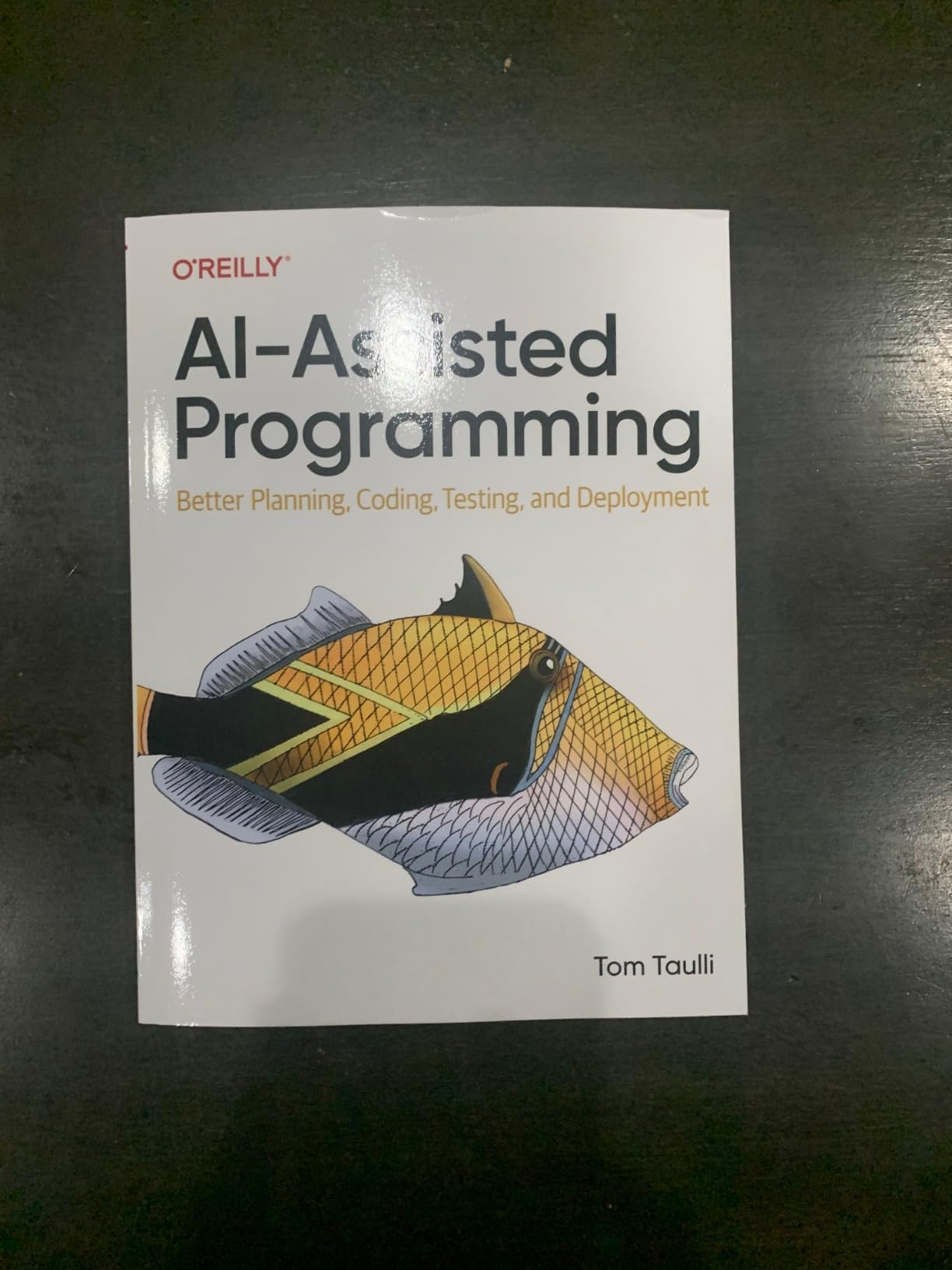 AI-Assisted Programming: Better Planning, Coding, Testing, and Deployment Customer Review AI-Assisted Programming: Better Planning, Coding, Testing, and Deployment - Customer Photo 1