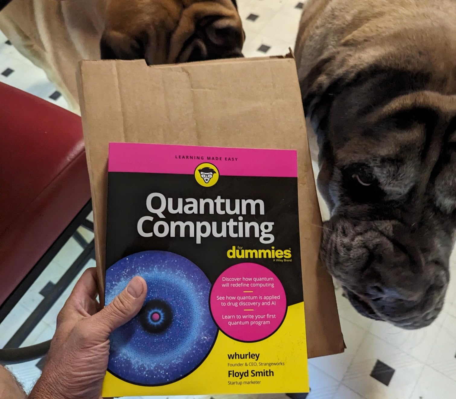 Quantum Computing For Dummies - Customer Photo 2