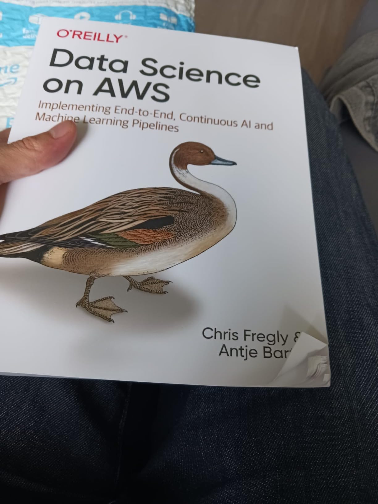 Data Science on AWS: Implementing End-to-End, Continuous AI and Machine Learning Pipelines - Customer Photo 2
