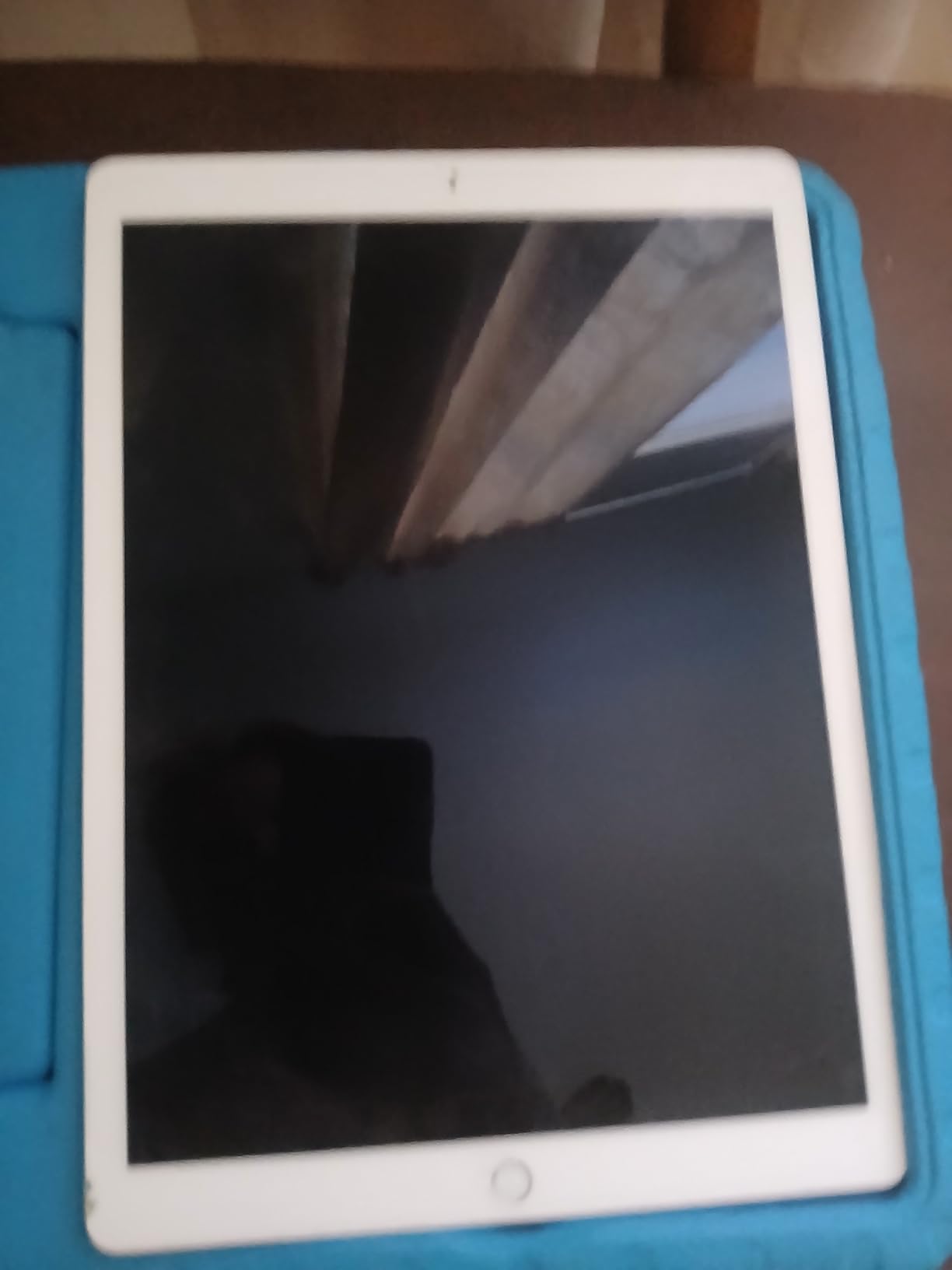 Apple iPad Pro 12.9in Tablet (256GB Wi-FI, Space Gray)(Renewed) - Customer Photo 3
