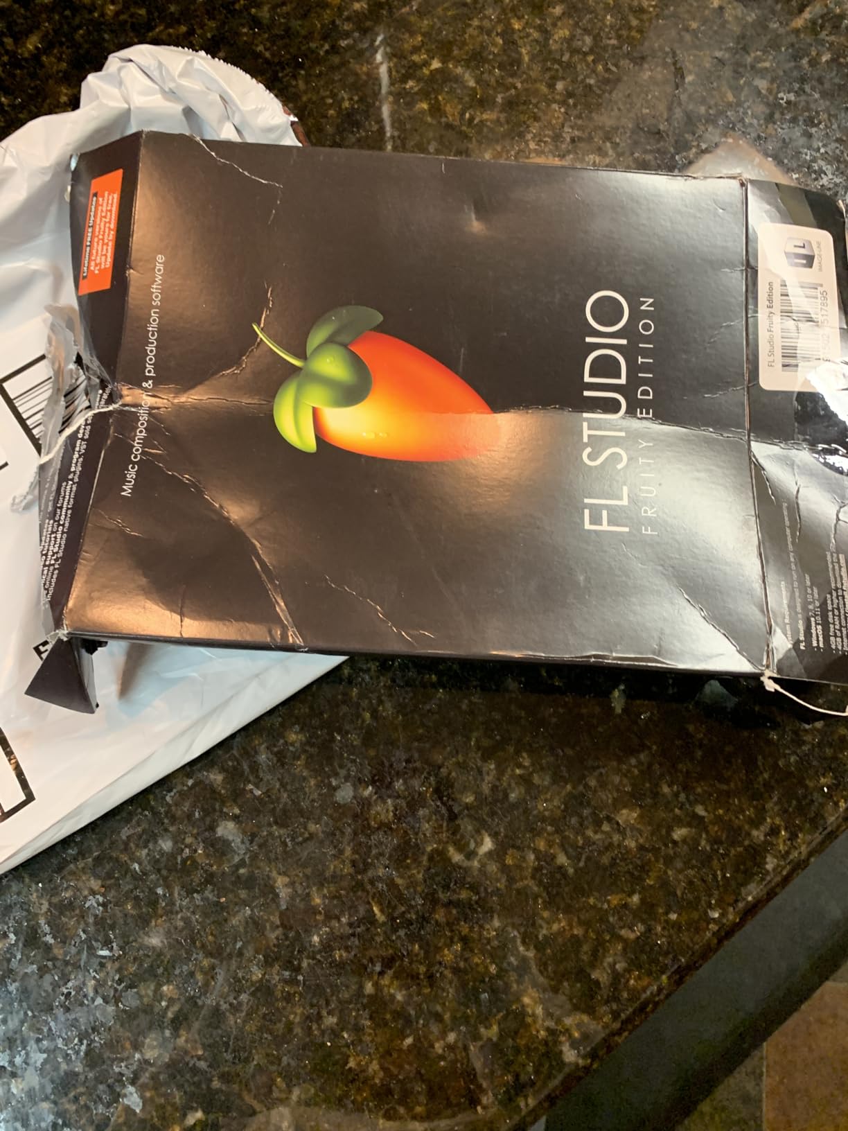 Image Line FL STUDIO 20 Fruity Edition - Customer Photo 1